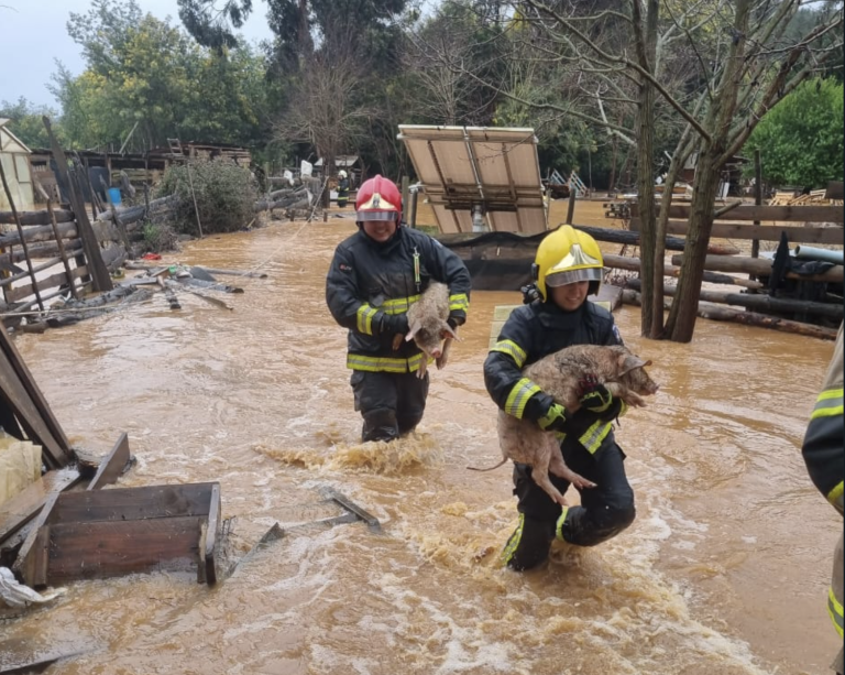 Temporal de lluvia afecta la comuna
